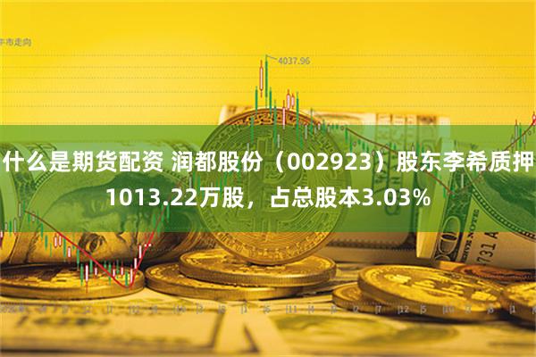 什么是期货配资 润都股份（002923）股东李希质押1013.22万股，占总股本3.03%