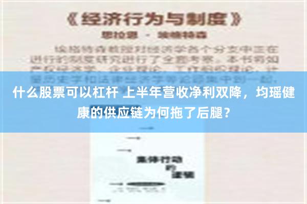 什么股票可以杠杆 上半年营收净利双降，均瑶健康的供应链为何拖了后腿？