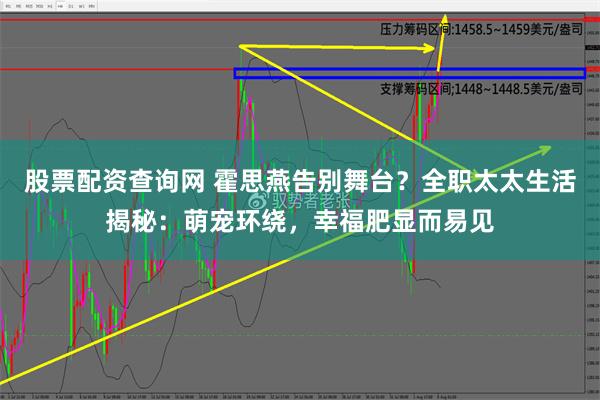 股票配资查询网 霍思燕告别舞台？全职太太生活揭秘：萌宠环绕，幸福肥显而易见