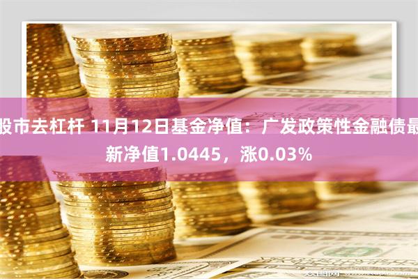 股市去杠杆 11月12日基金净值：广发政策性金融债最新净值1.0445，涨0.03%