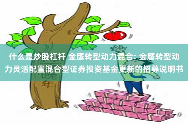 什么是炒股杠杆 金鹰转型动力混合: 金鹰转型动力灵活配置混合型证券投资基金更新的招募说明书