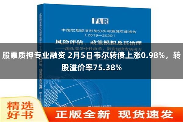 股票质押专业融资 2月5日韦尔转债上涨0.98%，转股溢价率75.38%