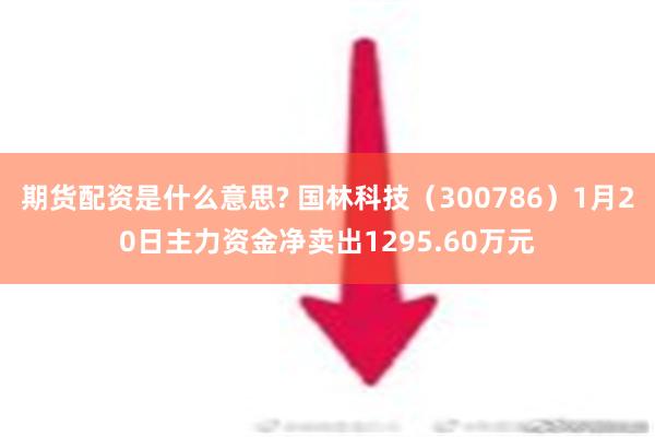 期货配资是什么意思? 国林科技（300786）1月20日主力资金净卖出1295.60万元